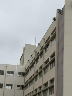 IMG_9501.jpeg