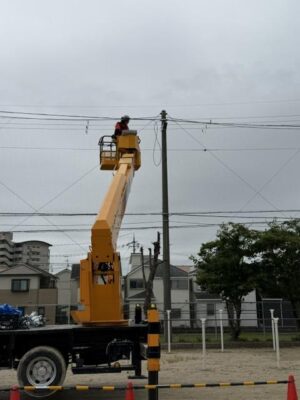 IMG_9503.jpeg
