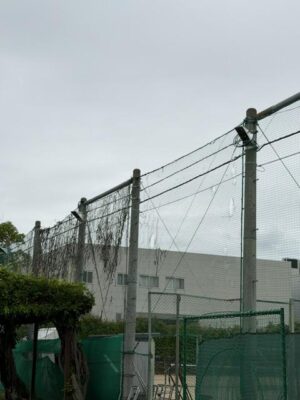 IMG_9511.jpeg