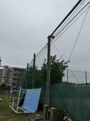 IMG_9512.jpeg