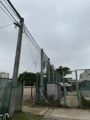 IMG_9513.jpeg