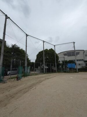 IMG_9514.jpeg