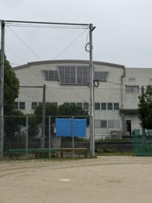 IMG_9515.jpeg