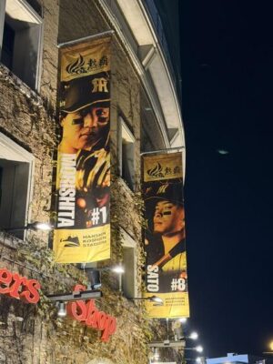 IMG_1385.jpeg